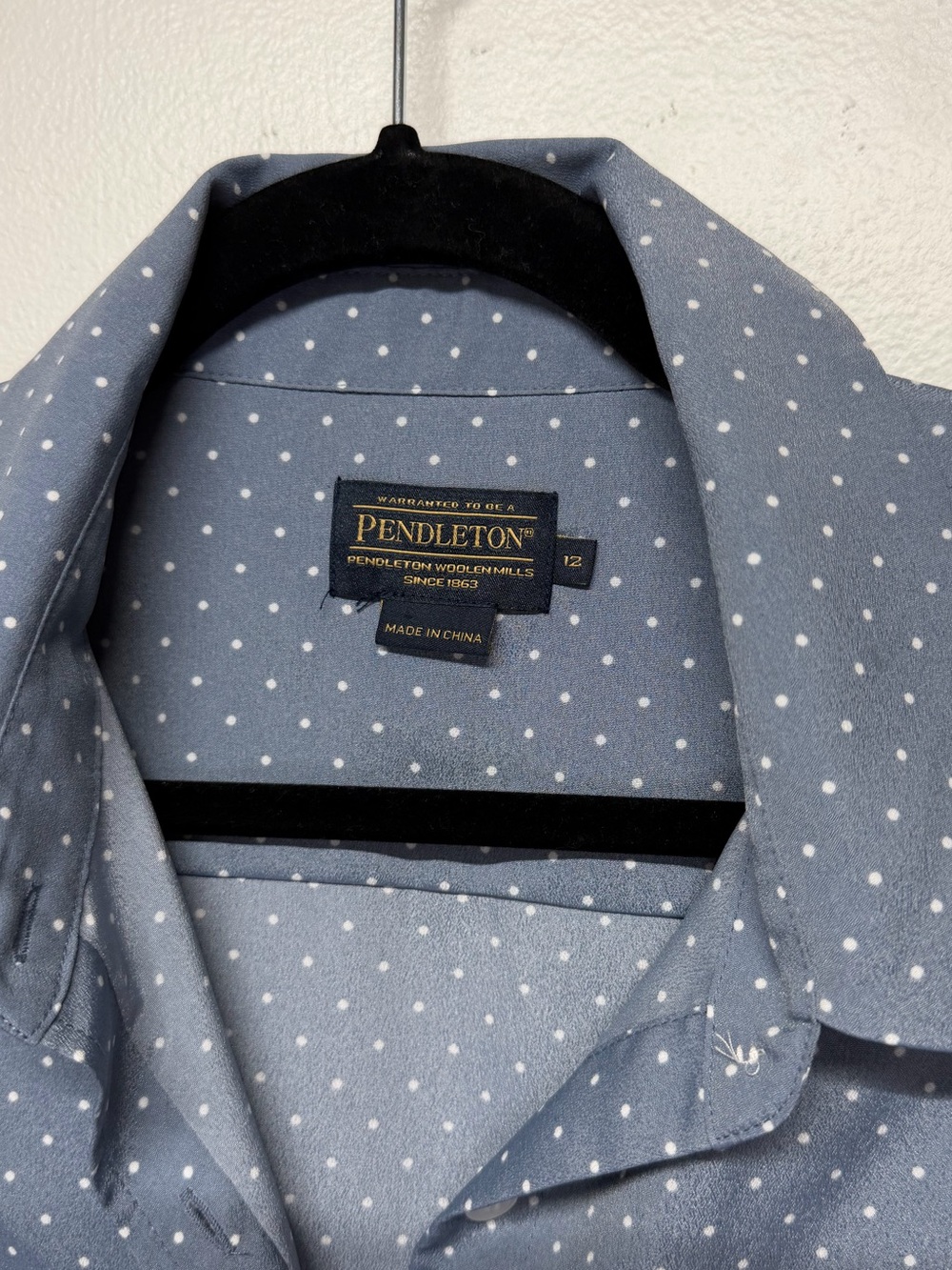 Pendleton Blue Dot-Print Button-Up Shirt - Picture 2 of 7